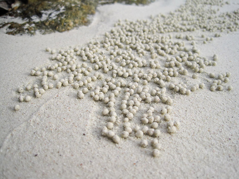 Sand balls cleaned of organic material